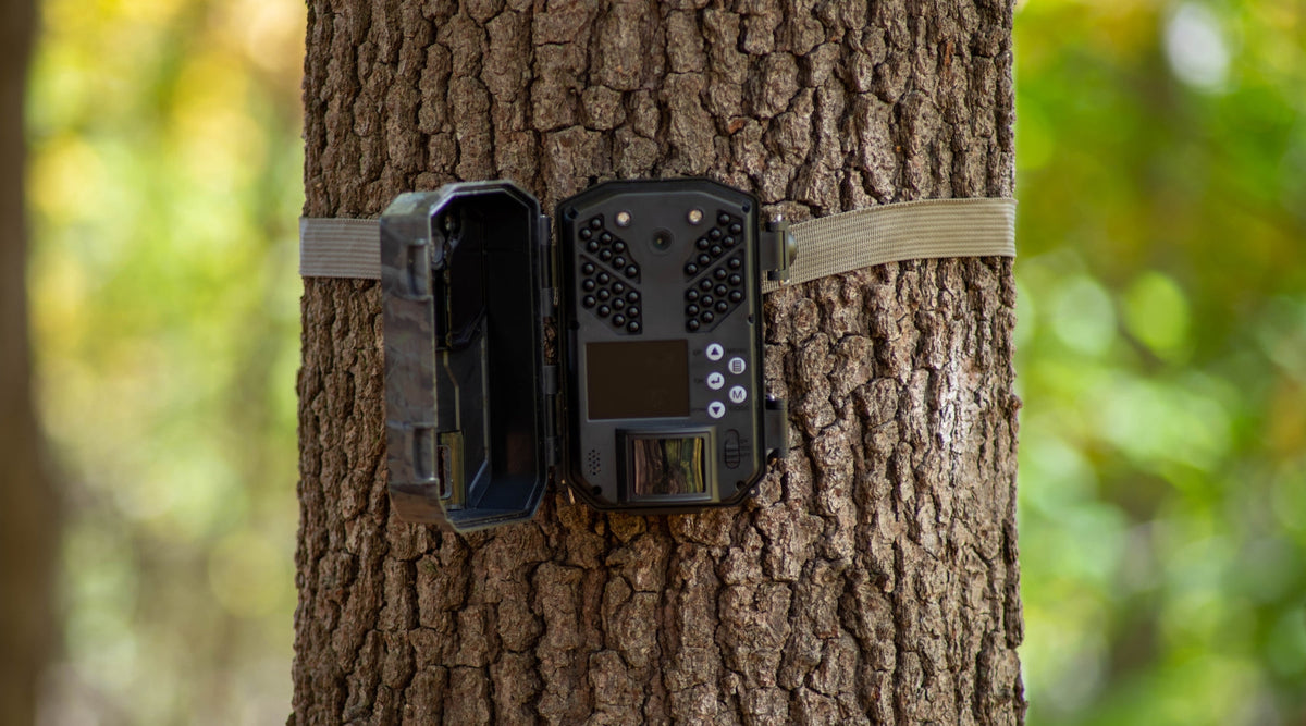 Best Trail Cameras of 2025: Top Picks for Wildlife & Hunting – Tactical ...
