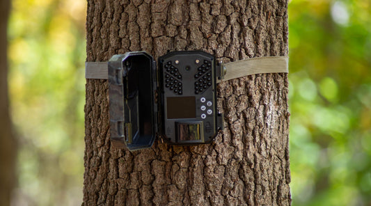 Trail camera strapped to tree trunk is open for operation. Woodland scene, bokeh background with copy space and rough bark texture