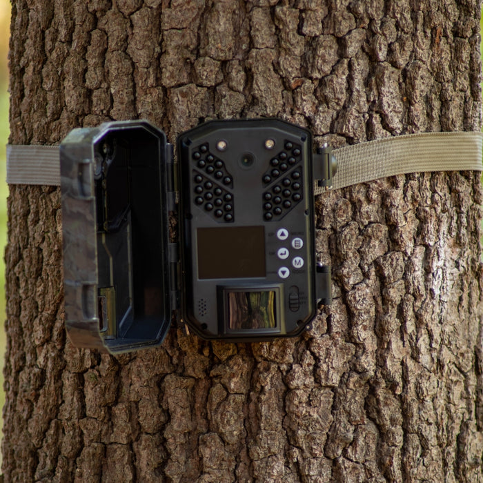 Trail camera strapped to tree trunk is open for operation. Woodland scene, bokeh background with copy space and rough bark texture